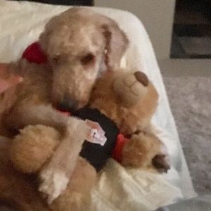 Meet your Posher, Pamela